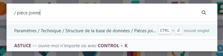 Odoo searchbar menu
